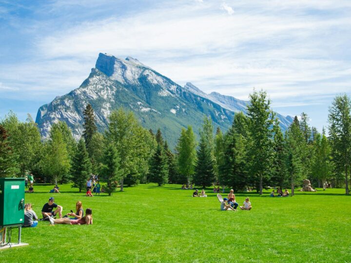 Magico Parco Land